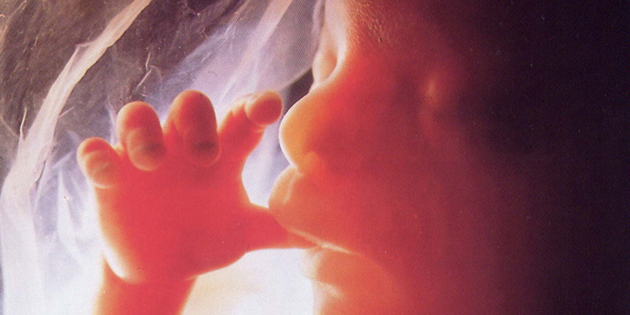 Annual Mass for Life set at Cathedral of St. John the Evangelist