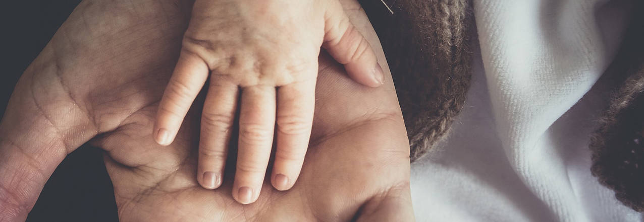 A statement from Bishop Perez in response to several states moving forward with legislation that would permit a baby to be aborted at nine months.  