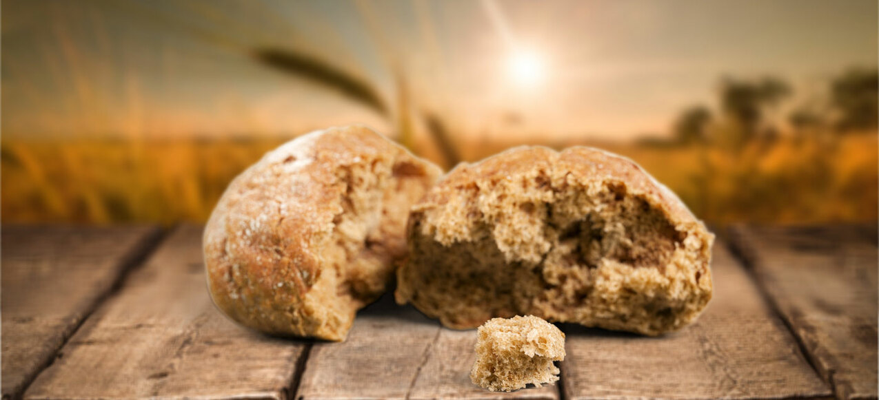 Eighteenth Sunday in Ordinary Time — August 1, 2021