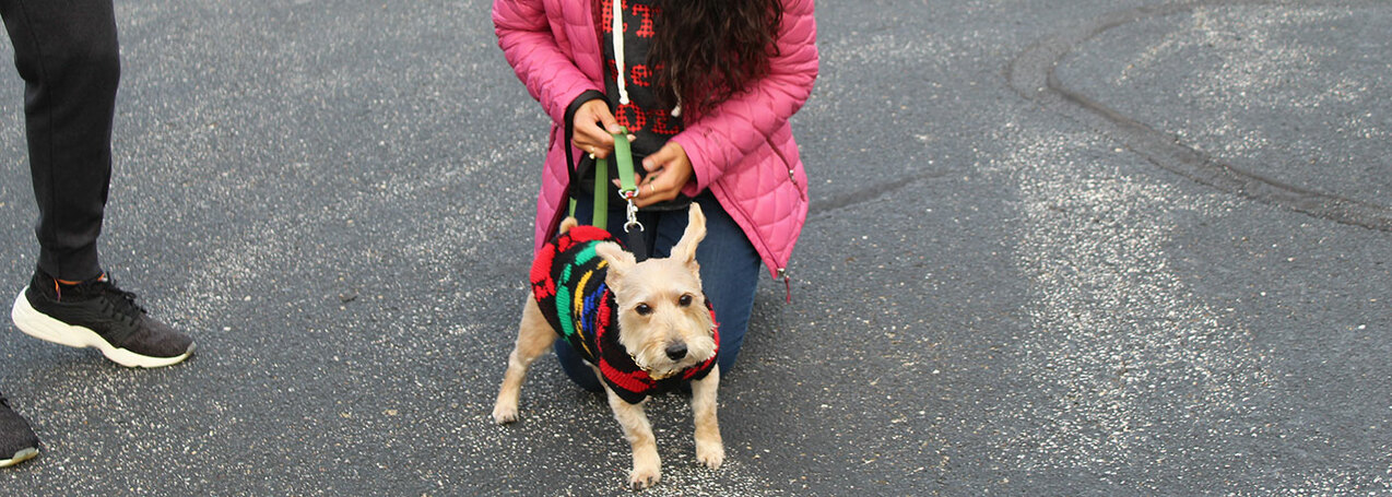 New Catholic young adult ministry '@7 on 17th' launches Oct. 4 with pet blessing, social