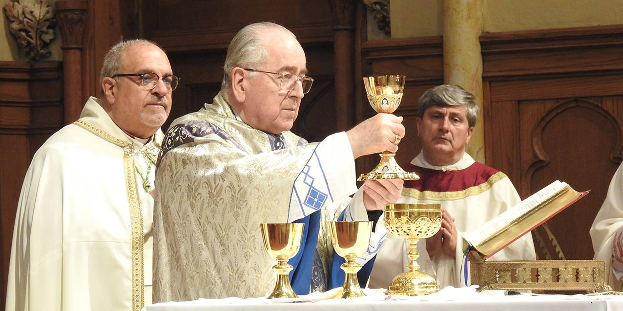 Cardinal Stanislaus Rylko makes pastoral visit to diocese