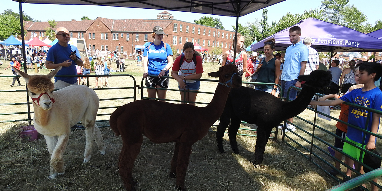 ‘Generations’ enjoyed faith, family and fun at The FEST 2019