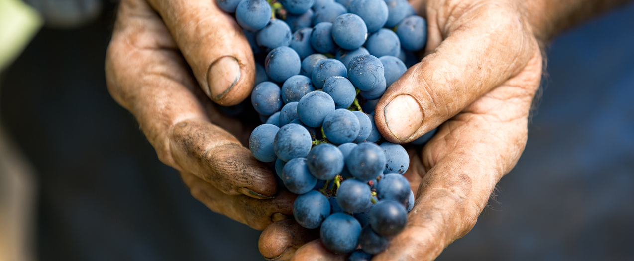 Twenty-fifth Sunday in Ordinary Time — Sept. 19, 2021