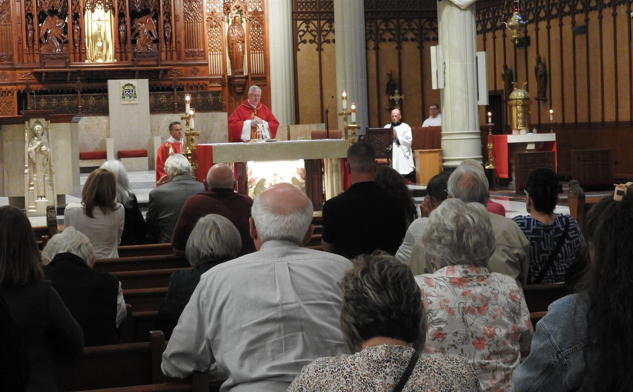 Support of ‘Faithful Apostles’ recognized at Mass in cathedral 