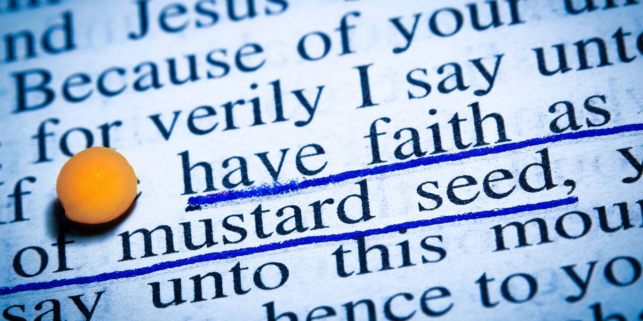 Twenty-seventh Sunday in Ordinary Time — Oct. 2, 2022