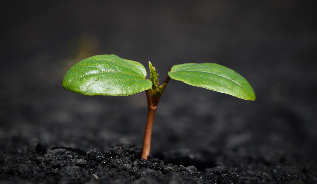 Monday of the Fourth Week of Lent – March 31, 2025 