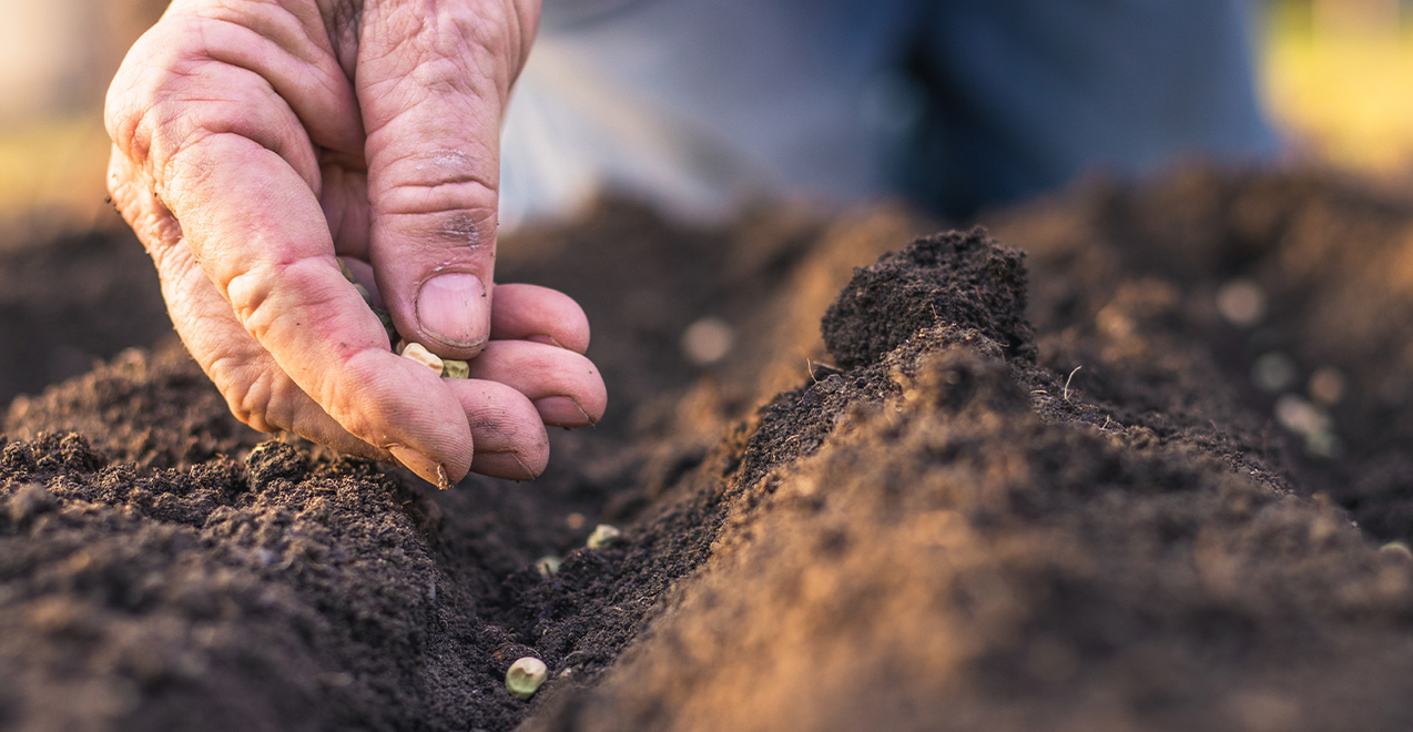 Fifteenth Sunday in Ordinary Time — July 16, 2023