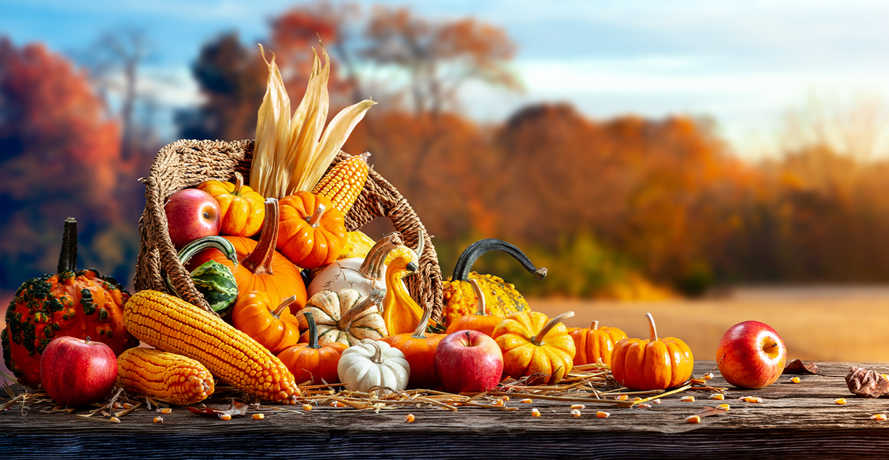 A Thanksgiving message from Bishop Malesic