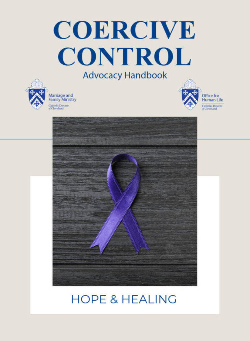 Frontcoverofthecoercivecontroladvocacyhandbook